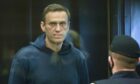 Jailed Kremlin critic Alexei Navalny.