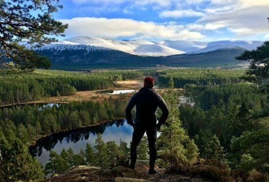 Cairngorms gets bumper response to public consultation. Picture by Cairngorms National Park.