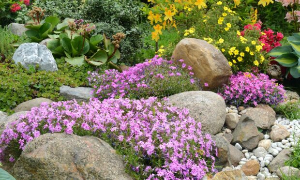 Jim has some useful tips for your rock garden.