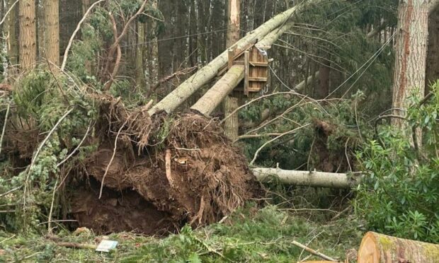 Damage left by Storm Corrie. Picture by National trust for Scotland