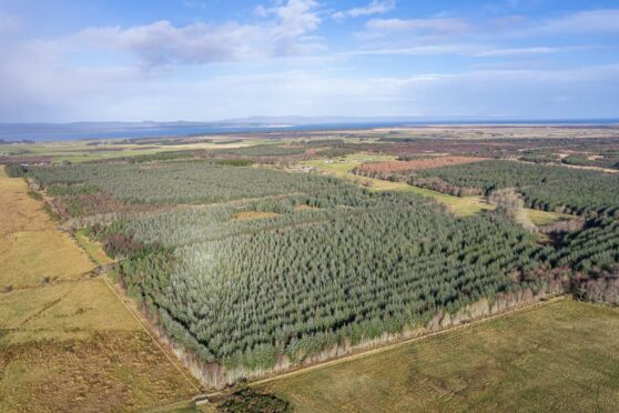 Bogbain Wood is for sale for offers over £1.15m.