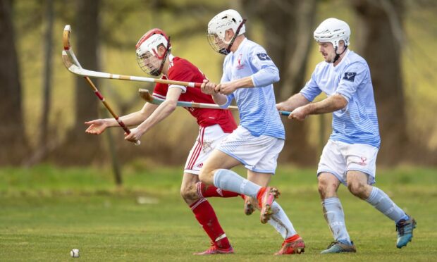 Players splaying shinty.