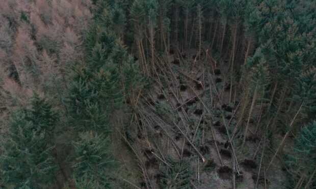 Storm Arwen damage at Crathes Castle in Aberdeenshire