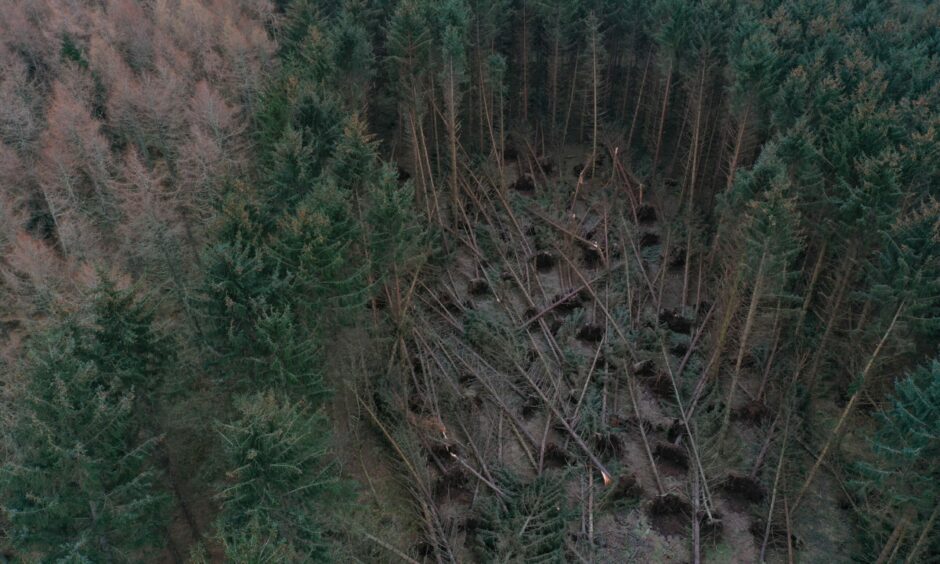 Storm Arwen damage at Crathes Castle in Aberdeenshire