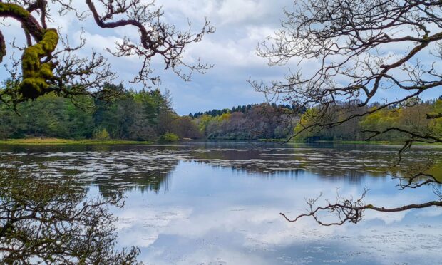 The lake at Haddo Country Park has been given the all clear. Supplied by Joyce Gall