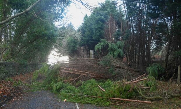 Storm Arwen wreaked havoc across the north-east. Picture by Kenny Elrick.