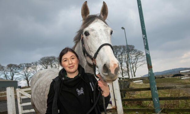 Vivienne Cruddace is a massage therapist for horses. Pictures by KATH FLANNERY