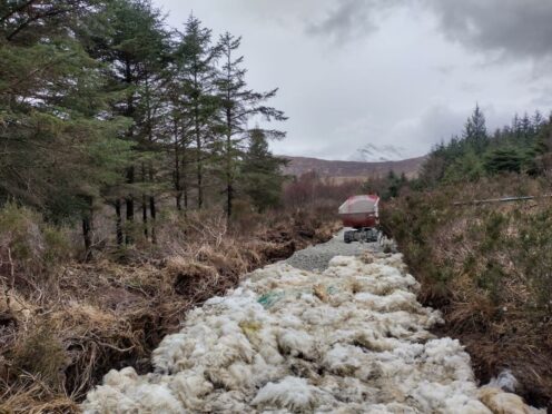 Sheep fleece used to ,end a path in Skye