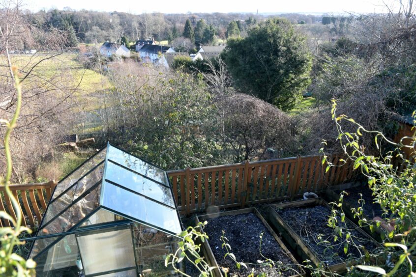 Picture of the vegetable patch and greenhouse from above