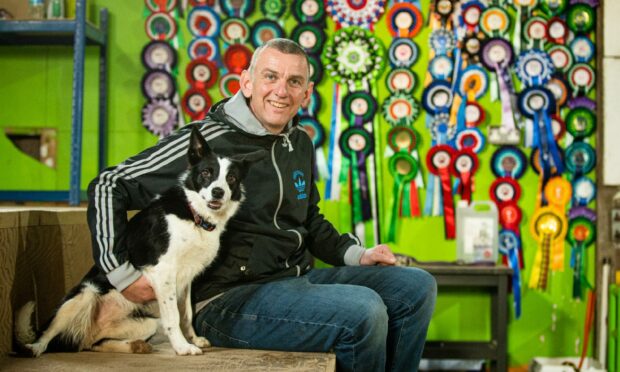 Owner Euan Paterson hugging Crazee the dog in front of wall of rosettes.