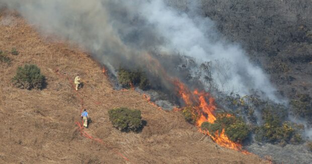 Fire crews battle a wildfire at Knockfarrel near Dingwall. Pic: Peter Jolly