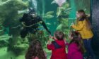 Children wave at a diver at Macduff Marine Aquarium.