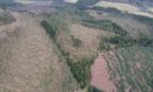FLS drone footage of damage at Pitfichie Forest, Aberdeenshire.