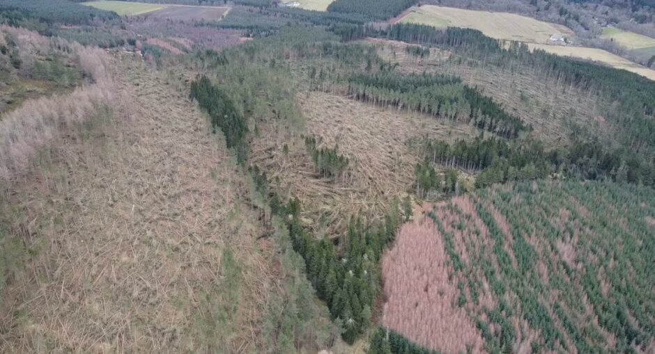 FLS drone footage of damage at Pitfichie Forest, Aberdeenshire.