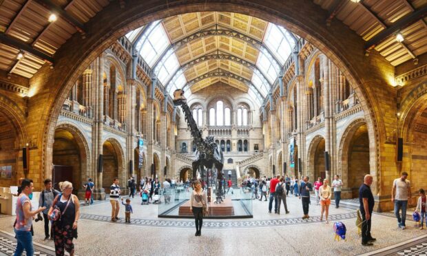 What do readers think of plans to turn the empty Aberdeen John Lewis into a Natural History Museum?  Photo: Shutterstock