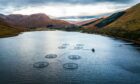 A recent independent review into the system governing aquaculture in Scotland suggests changes should be made (Photo: Shoesmith Drones/Shutterstock)