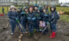 Woodside School pupils planting the Wee Forest in Clifton Road, Aberdeen