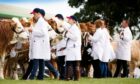 Royal Highland Show organisers enjoyed a boost in revenue last year.