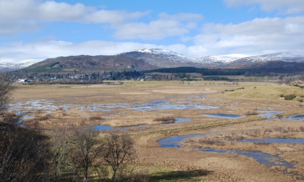 Looking over the Insh Marshes.