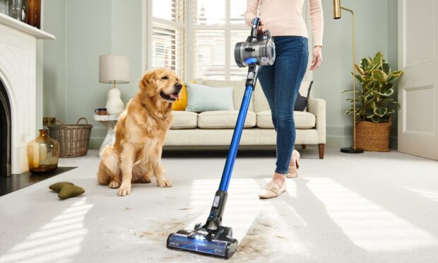 The Vax ONEPWR Blade 4 Pet and Car, £299.99, gets to work.
