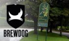 BrewDog will host their AGM at Hazlehead Park.