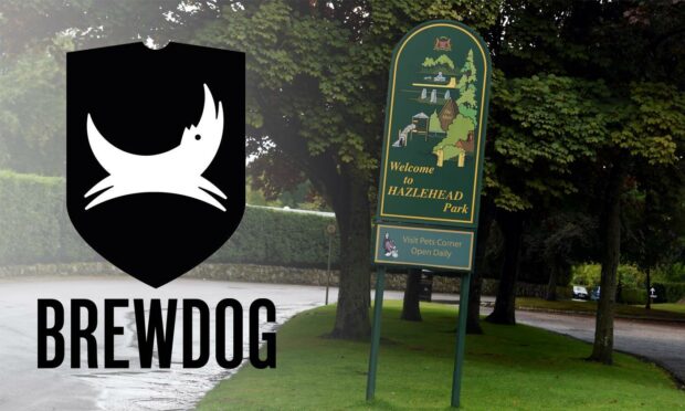 Brewdog is gearing up to hold their AGM at Hazlehead Park this summer. Image supplied by DCT Design Team.