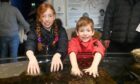 Bethany Knowler and her brother Ethan got their hands into the touch pool. Picture by Chris Sumner.