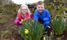 Easter Egg hunt at Pitmedden Gardens in 2018.
Pictured from left, Ellen Watt, 6 and Leo Donaldson, 5.
Picture by Heather Fowlie / DCT Media