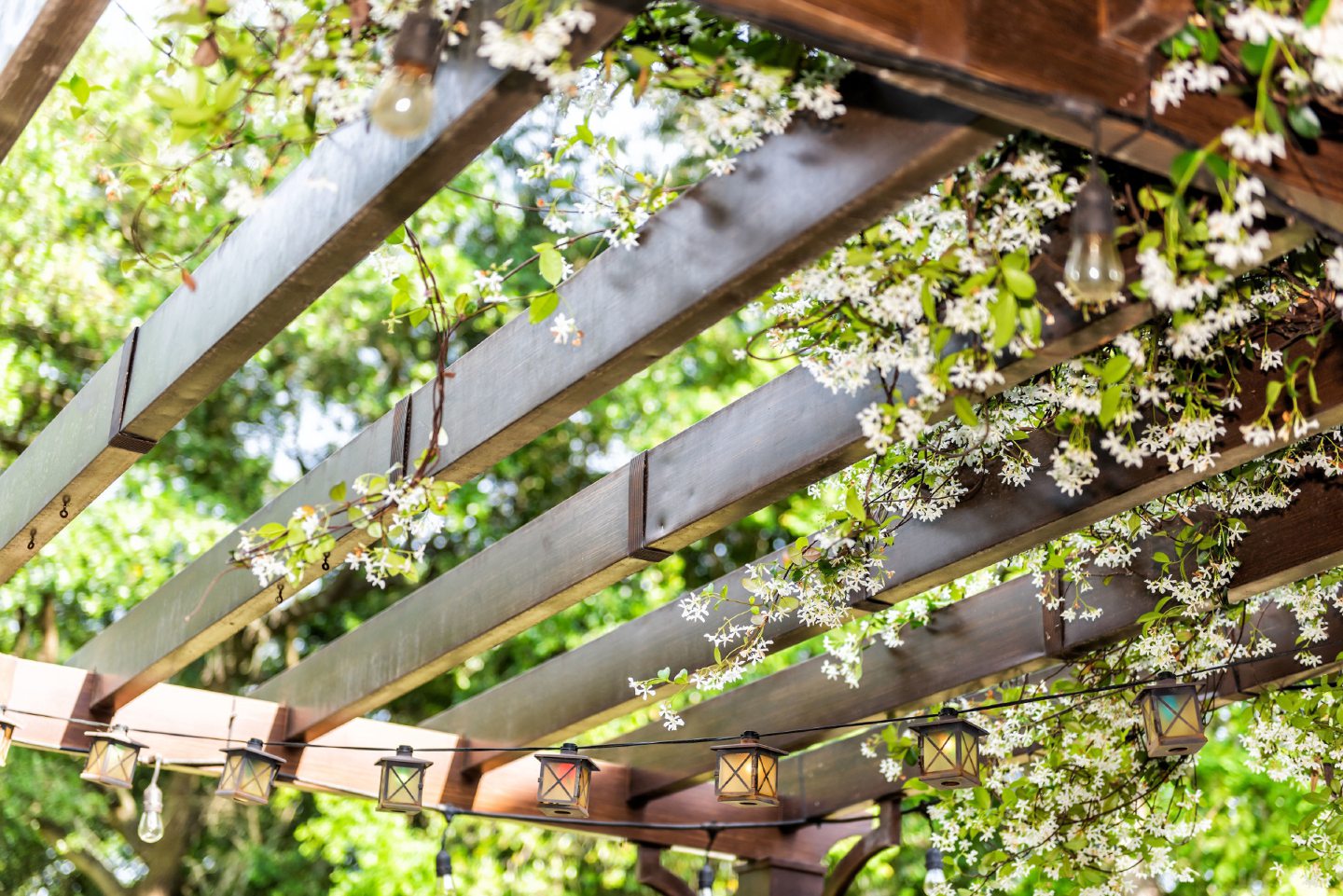 A wooden pergola with fairy lights and flowers.