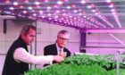 Andrew Lloyd, chief operating officer at Intelligent Growth Solutions, and Scotland Office minister Malcolm Offord at the digital farm in Invergowrie