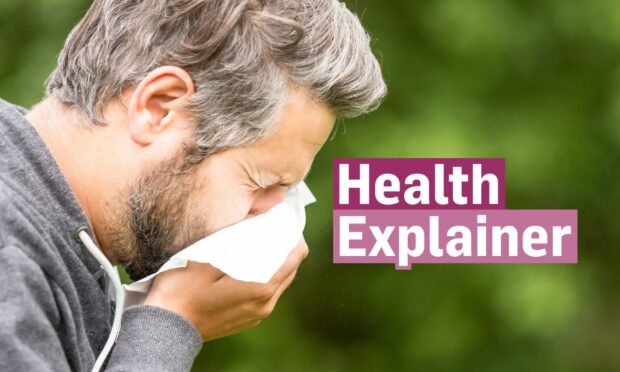 Everything you need to know about tackling your hay fever this Spring.