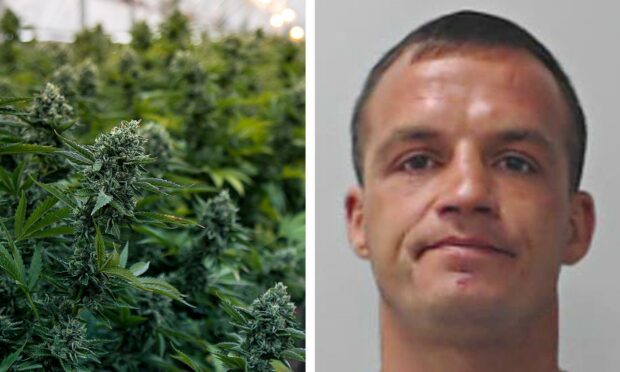 Donatas Kyliokas, 37, was linked to the cannabis cultivation with his DNA.