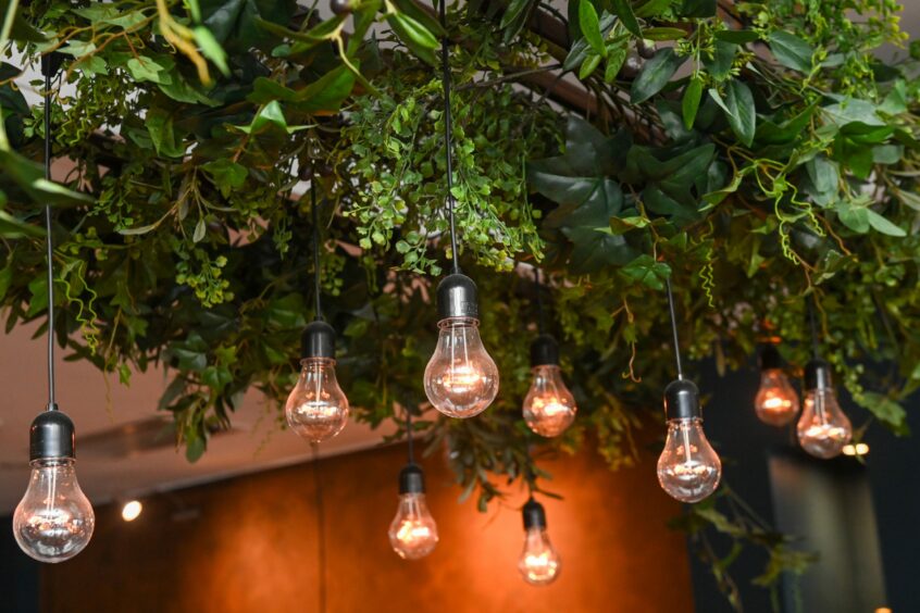 Lightbulbs hang from branches with green leaves