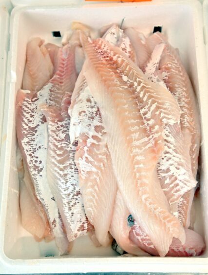 Fillets of fish neatly stacked in a white box