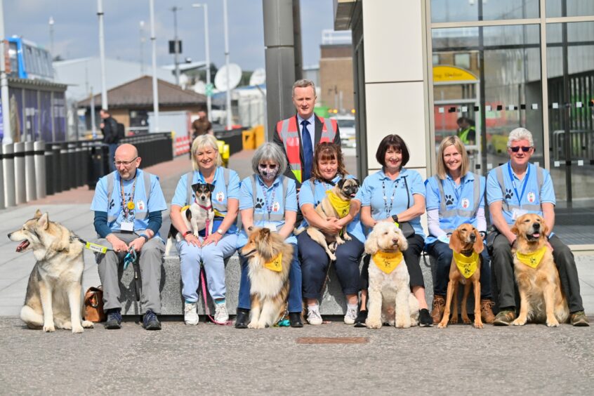 The dogs help ease passengers anxiety. 