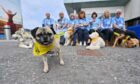 Aberdeen Airport welcomed back their therapets, the Canine Crew, back for the first time since 2020.     
Picture by Kami Thomson / DCT Media