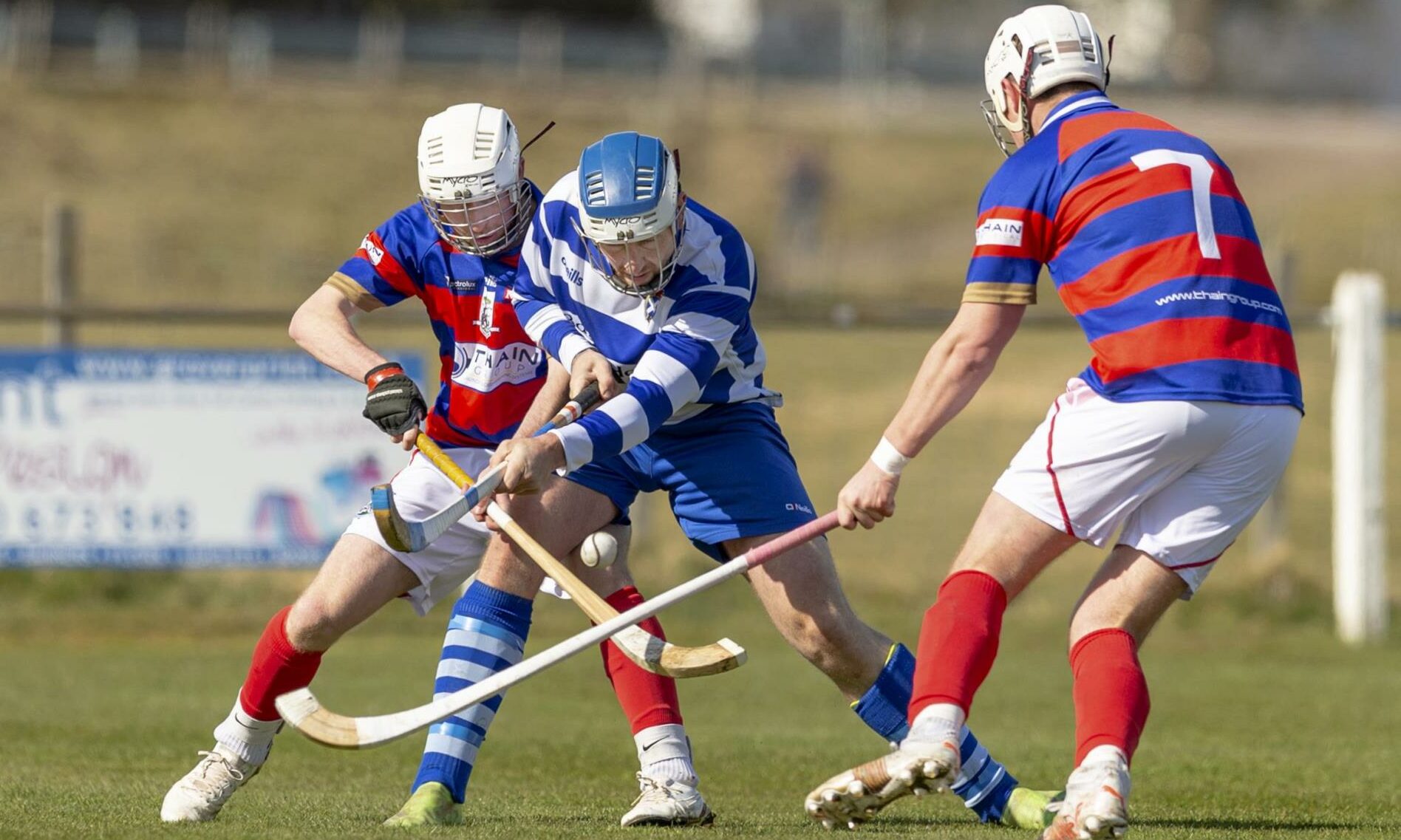 Shinty News, Match Reports, Fixtures and Opinion | Press and Journal