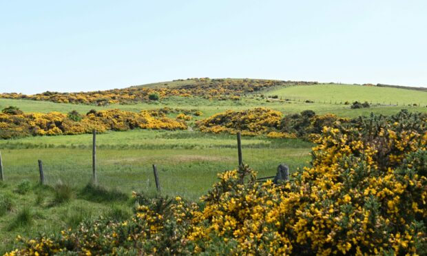 Beauty Hill near Newmachar, Aberdeenshire