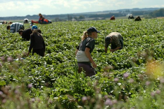 The service will provide support for seasonal farm workers from Ukraine.