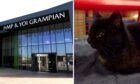 Collage of Peterhead prison and Jack the cat