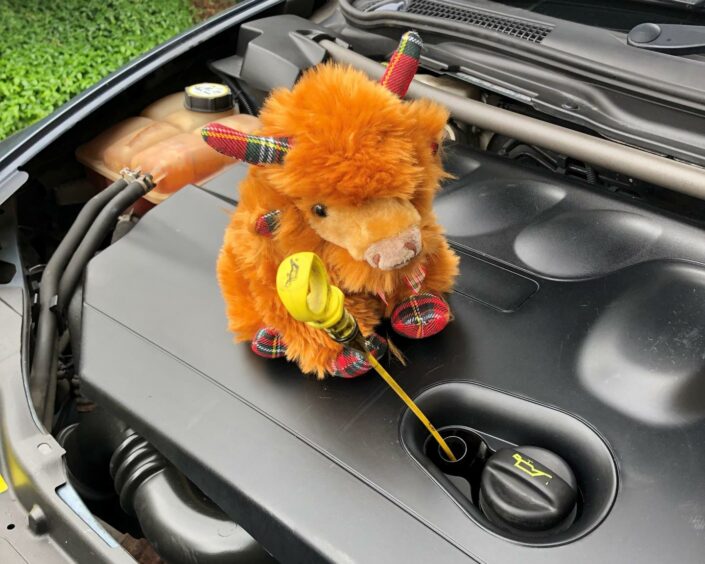 Archie the cow checks the engine before the trip to Rome.