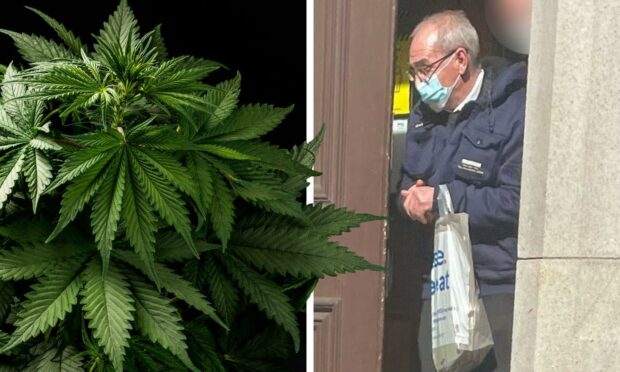 Trent Rudd admitted growing cannabis and attempting to dispose of the plants.