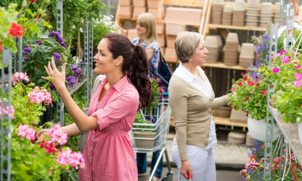 Customers choose plants at a garden centres in the spring.