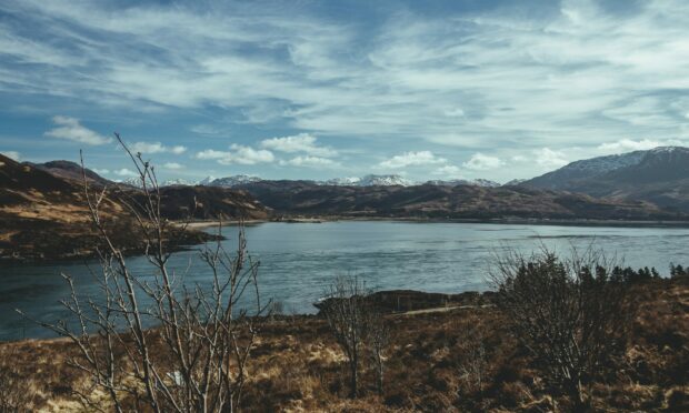 Councillors welcomed the network investment in Skye but expressed sadness at the impact on the environment.