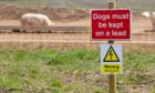 Farmers are being encouraged to put signs up on their land to remind dog walkers of how to visit the countryside responsibly.