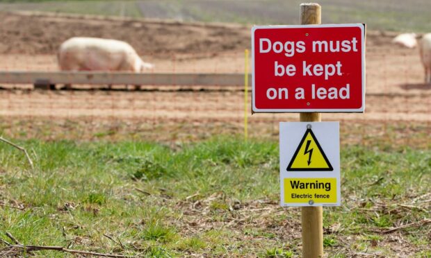 Farmers are being encouraged to put signs up on their land to remind dog walkers of how to visit the countryside responsibly.