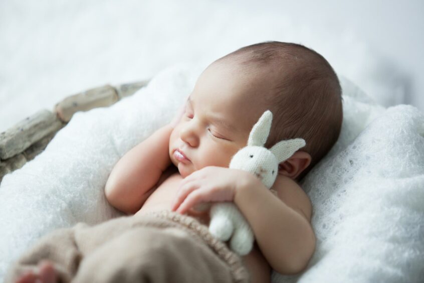 A picture of a sweet newborn baby sleeps with a toy hare on a white background.