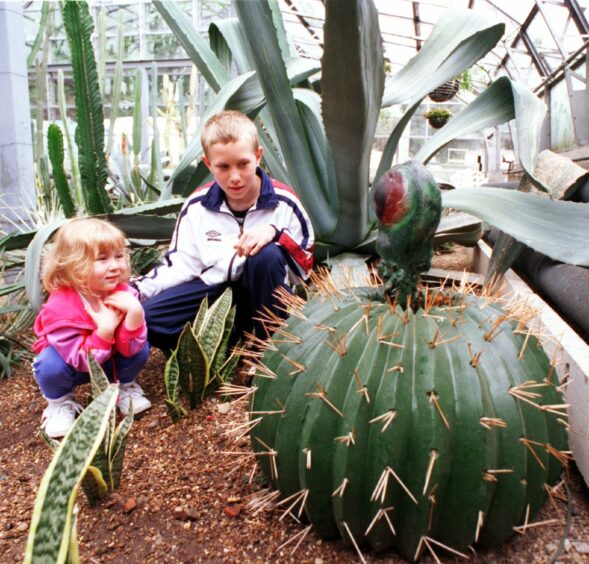Spike the Cactus with a boy and girl.