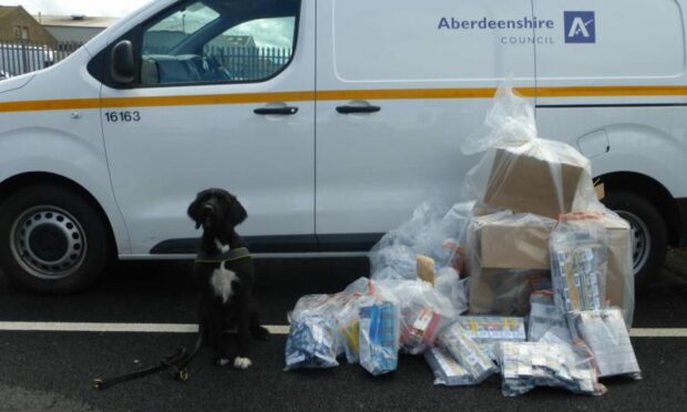 Detection dog Boo with her haul of illegal tobacco. Supplied by Aberdeenshire Council