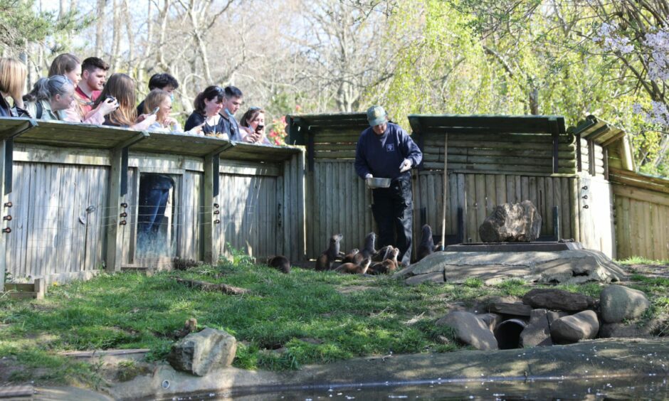 RZSS Highland Wildlife Park